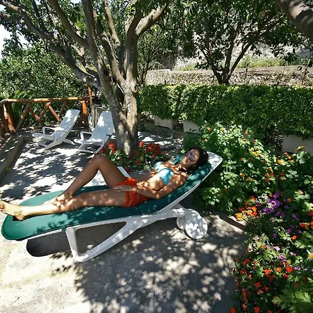 Monti Hotel 3*